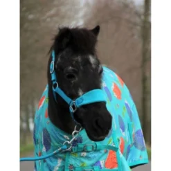 HB Harry & Hector Halster Bellwood Fleece Turquoise