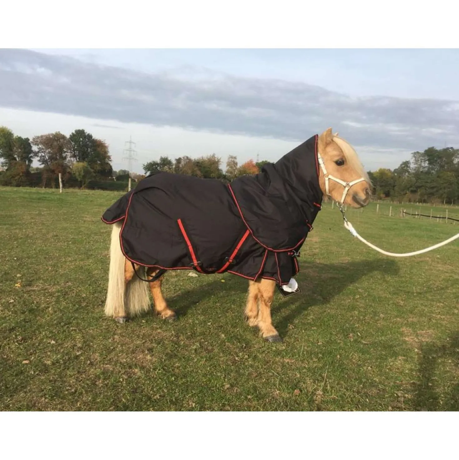 HB Harry & Hector Outdoordeken 300g Zwart/Rood