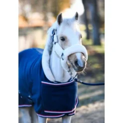 HB Harry & Hector Showdeken Dutch Crown Little Sizes Navy