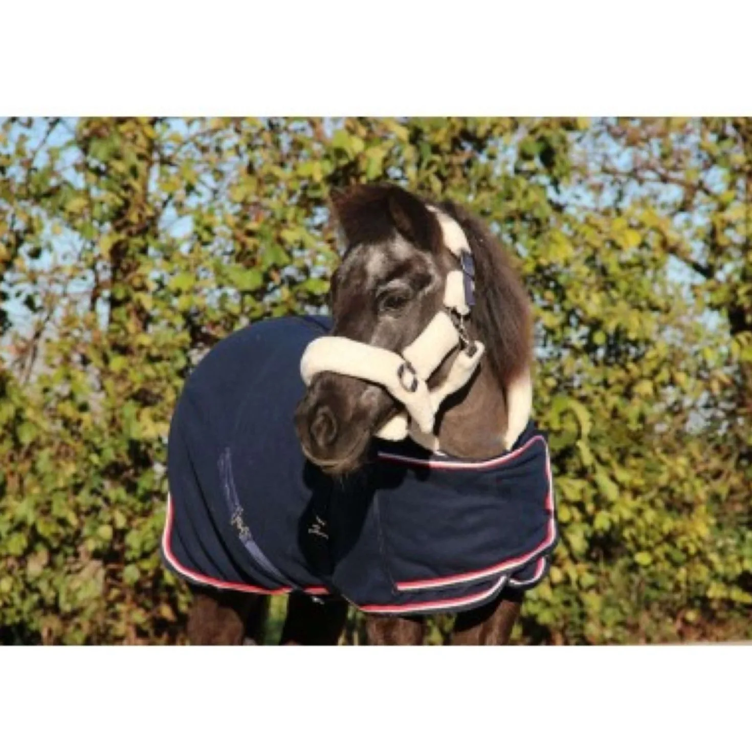 HB Harry & Hector Showdeken Dutch Crown Little Sizes Navy
