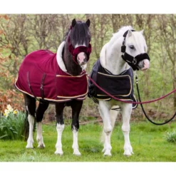 HB Harry & Hector Showdeken Dutch Crown Little Sizes Zwart