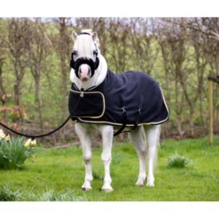 HB Harry & Hector Showdeken Dutch Crown Little Sizes Zwart