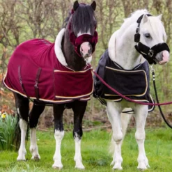 HB Harry & Hector Showdeken Dutch Crown Little Sizes Burgundy