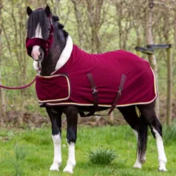 HB Harry & Hector Showdeken Dutch Crown Little Sizes Burgundy