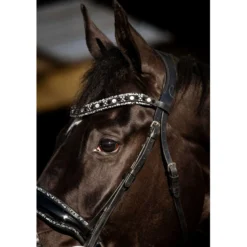 HB Hoofdstel Black River Zwart