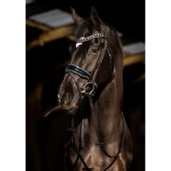 HB Hoofdstel Black River Zwart