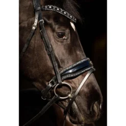 HB Hoofdstel Black River Zwart