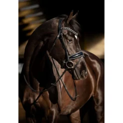 HB Hoofdstel Black River Zwart