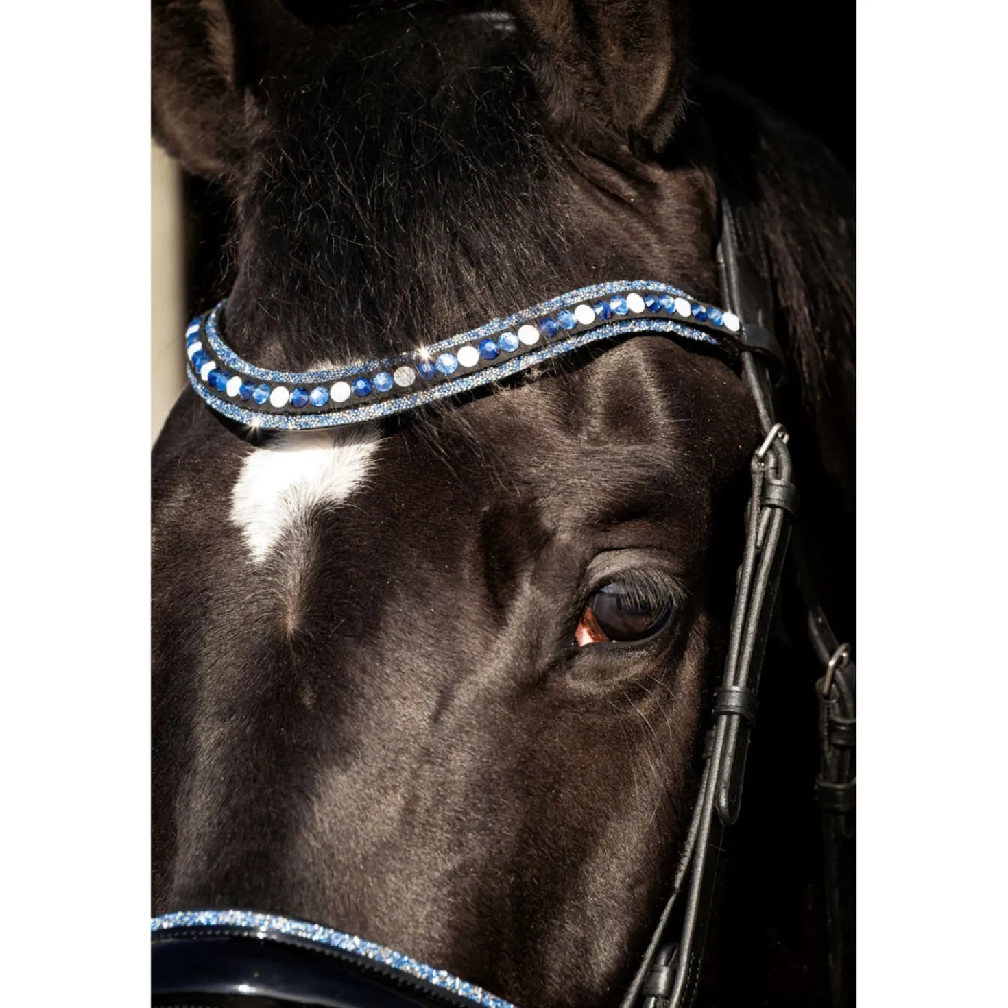 HB Hoofdstel Blue Ocean Zwart