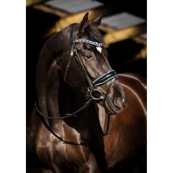 HB Hoofdstel Blue Ocean Zwart