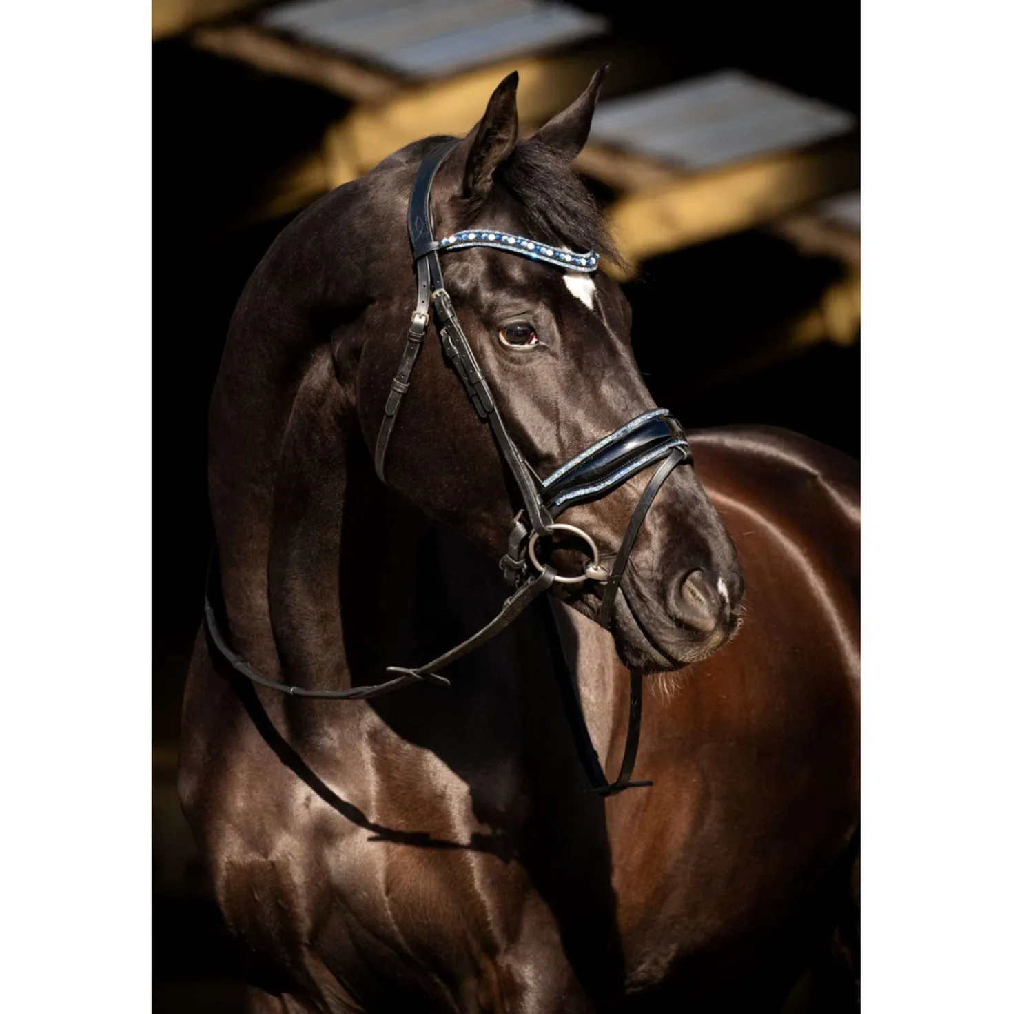 HB Hoofdstel Blue Ocean Zwart