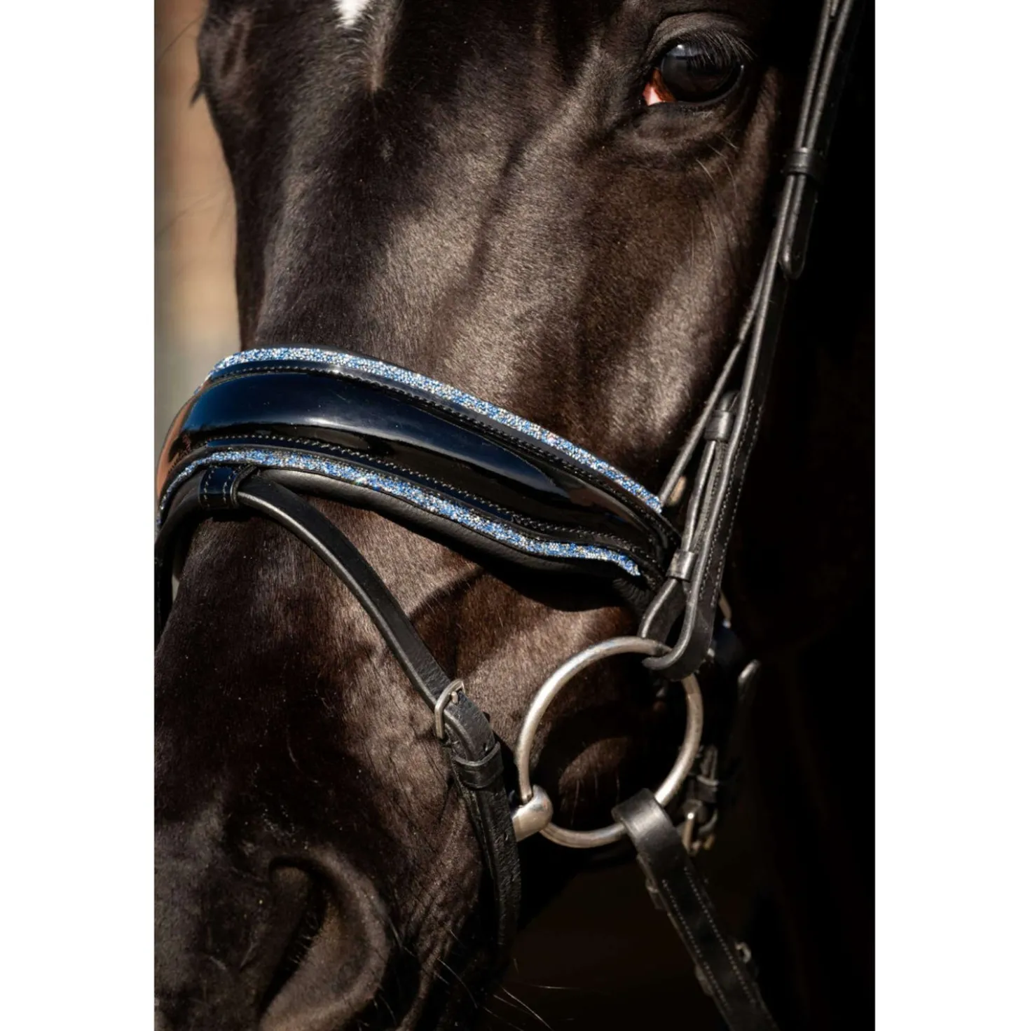 HB Hoofdstel Blue Ocean Zwart