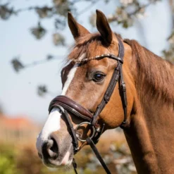 HB Hoofdstel Juwel Glitter Bruin/Goud