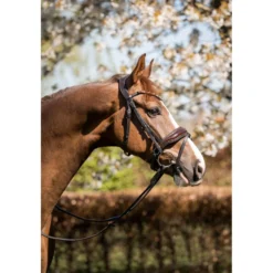 HB Hoofdstel Juwel Glitter Bruin/Goud