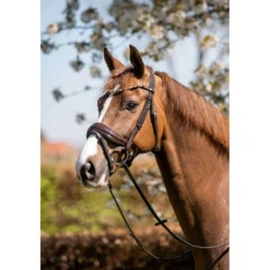 HB Hoofdstel Juwel Glitter Bruin/Goud