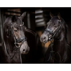 HB Hoofdstel Showtime Evalira Blauw/Zwart