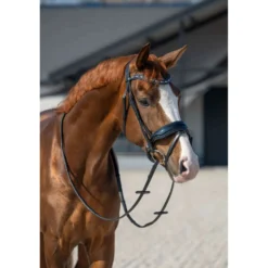 HB Hoofdstel Showtime It is So Special Zwart/Navy Glitter