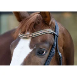 HB Hoofdstel Showtime It is So Special Brown/Golden Glitter