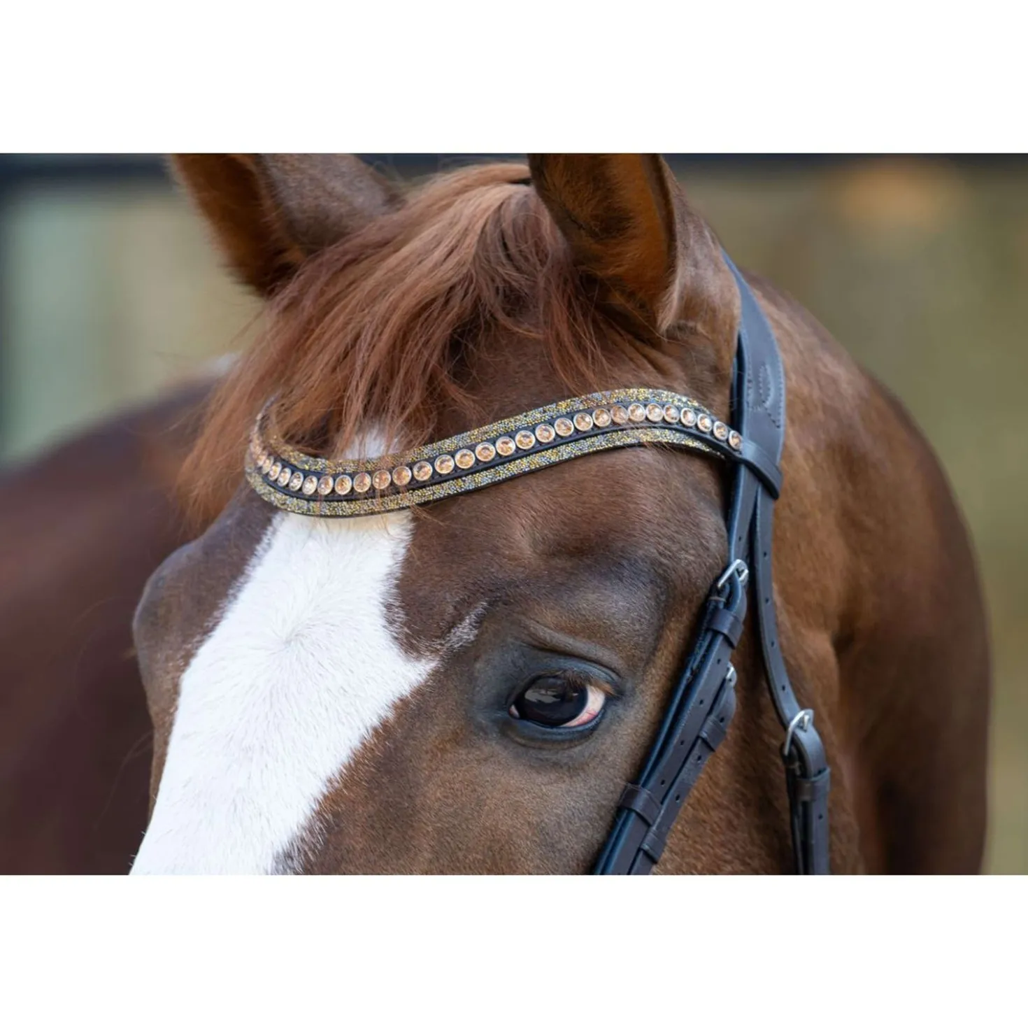 HB Hoofdstel Showtime It is So Special Brown/Golden Glitter