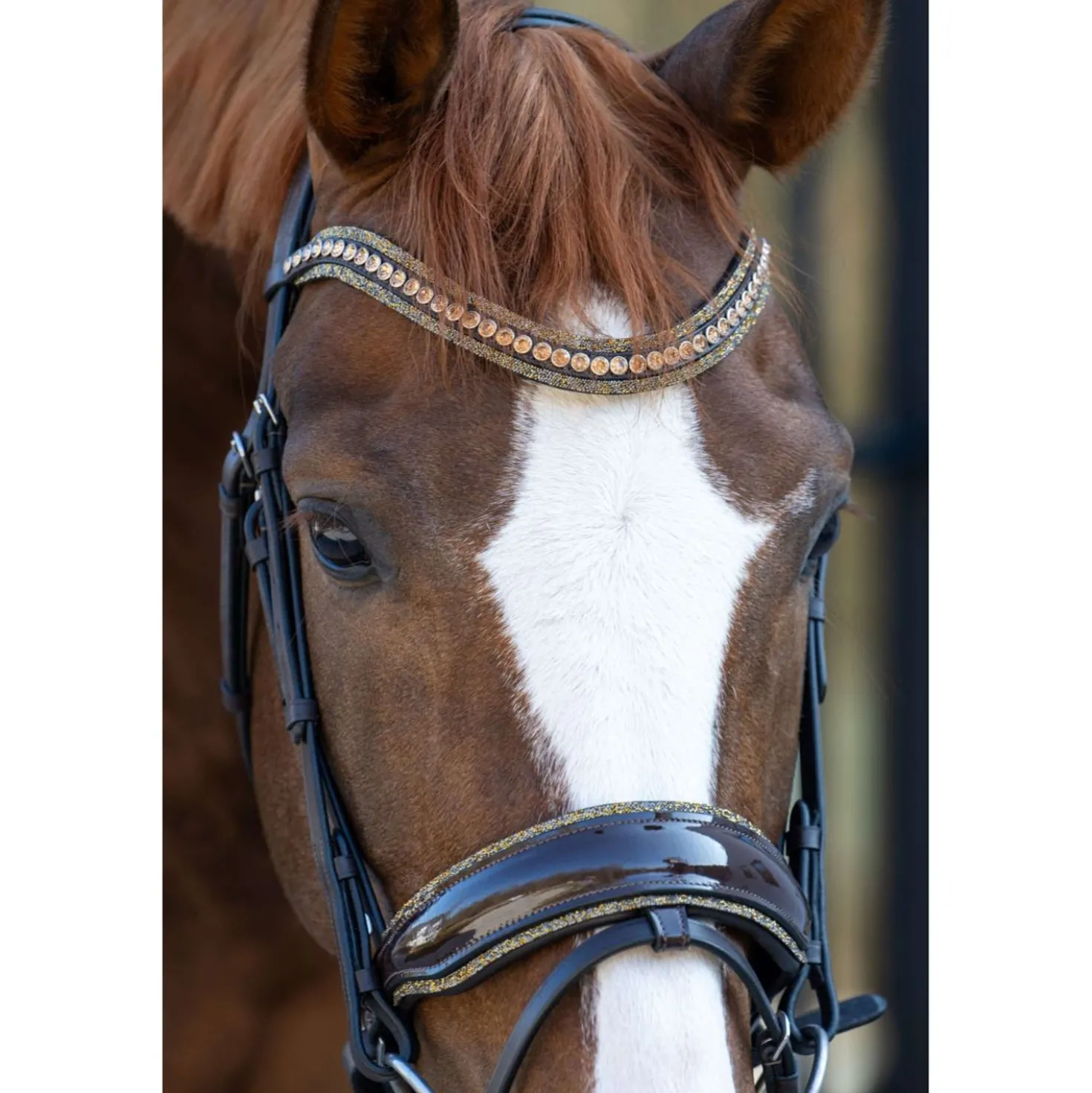 HB Hoofdstel Showtime It is So Special Brown/Golden Glitter