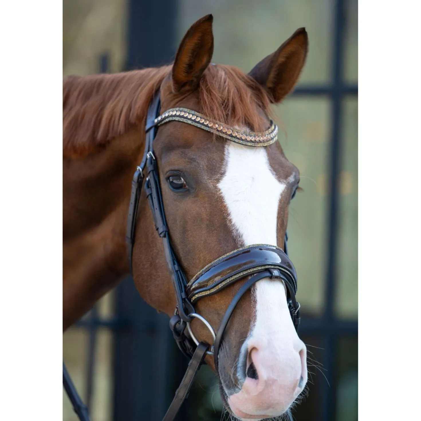 HB Hoofdstel Showtime It is So Special Brown/Golden Glitter