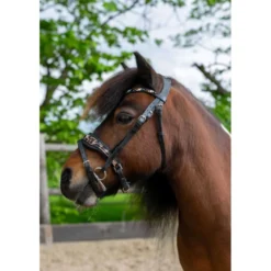 HB Hoofdstel Showtime Leopard Zwart
