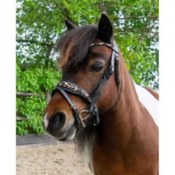 HB Hoofdstel Showtime Leopard Zwart