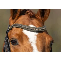 HB Hoofdstel Showtime One in a Million Brown/Golden Glitter