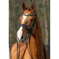 HB Hoofdstel Showtime One in a Million Brown/Golden Glitter