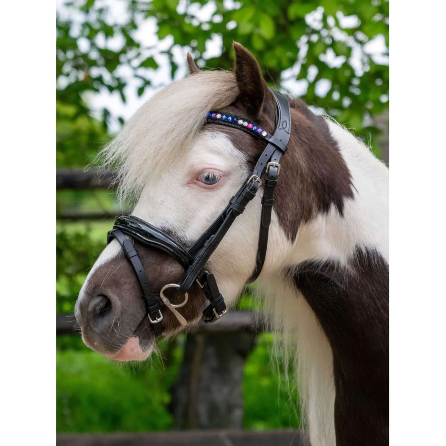 HB Hoofdstel Showtime Petit Royal Zwart