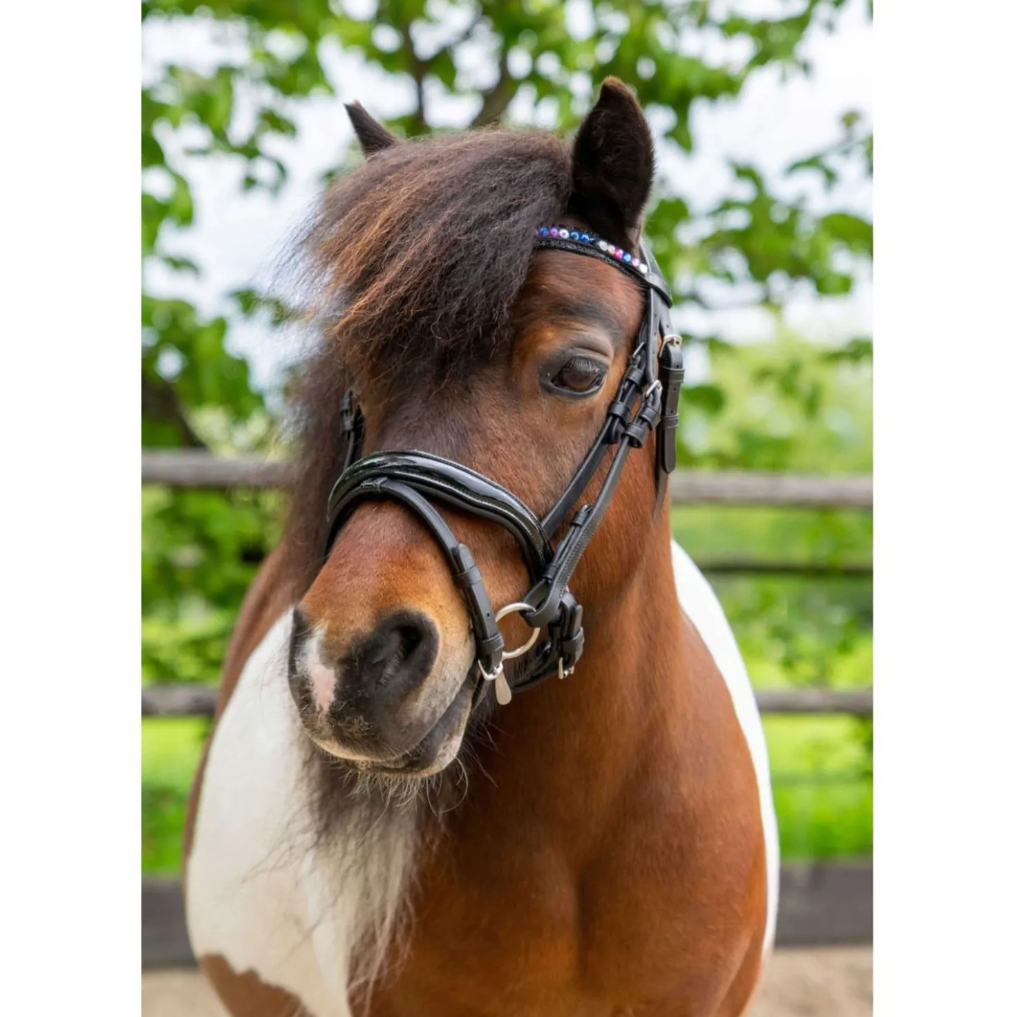 HB Hoofdstel Showtime Petit Royal Zwart