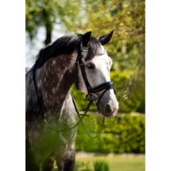HB Hoofdstel Showtime Ultimate Dream Zwart