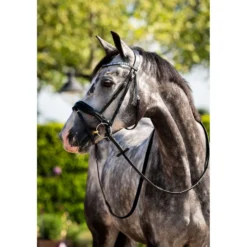 HB Hoofdstel Showtime Ultimate Dream Zwart