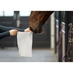 HB HorseWipes Natural Clean Wit