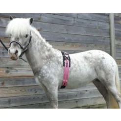 HB Longeersingel Little Sizes Roze