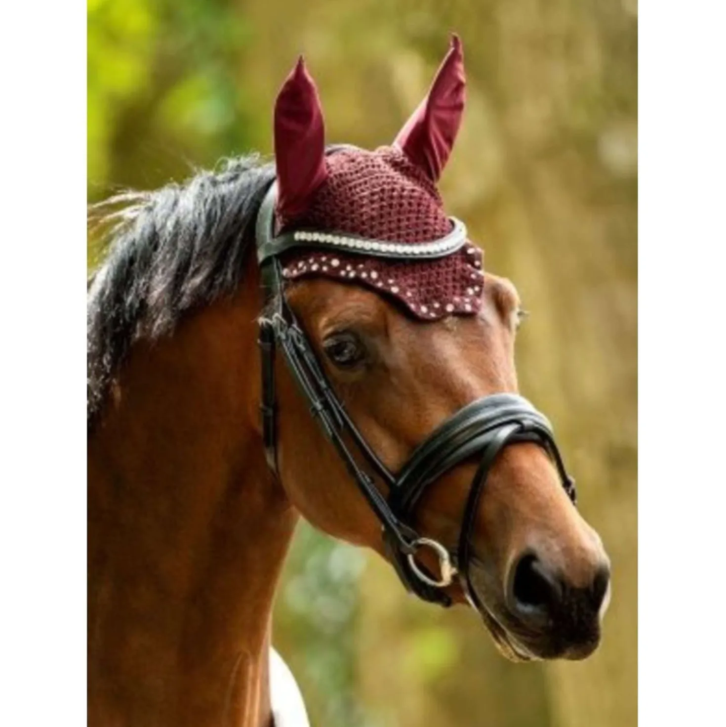 HB Oornetje met Trydac Swarovski steentjes Burgundy