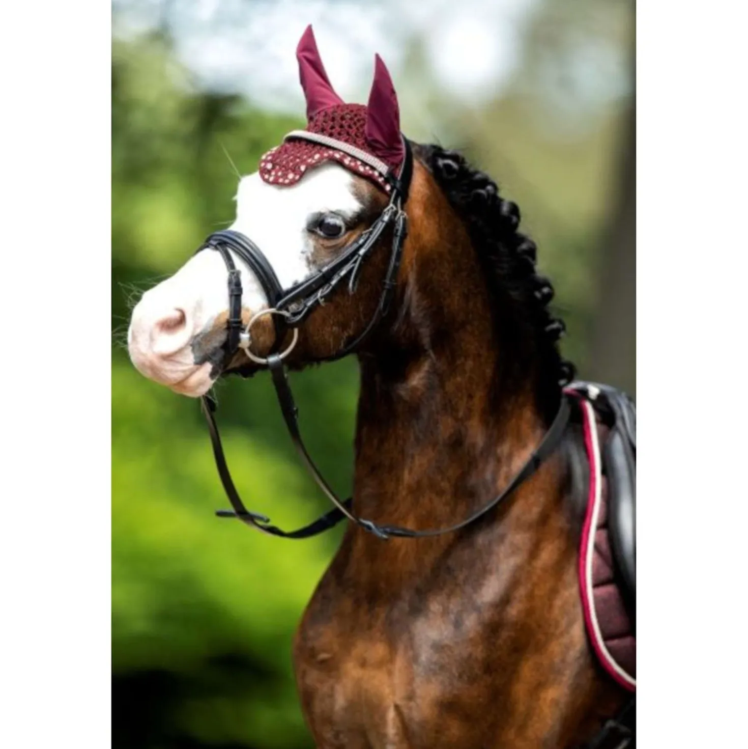 HB Oornetje met Trydac Swarovski steentjes Burgundy