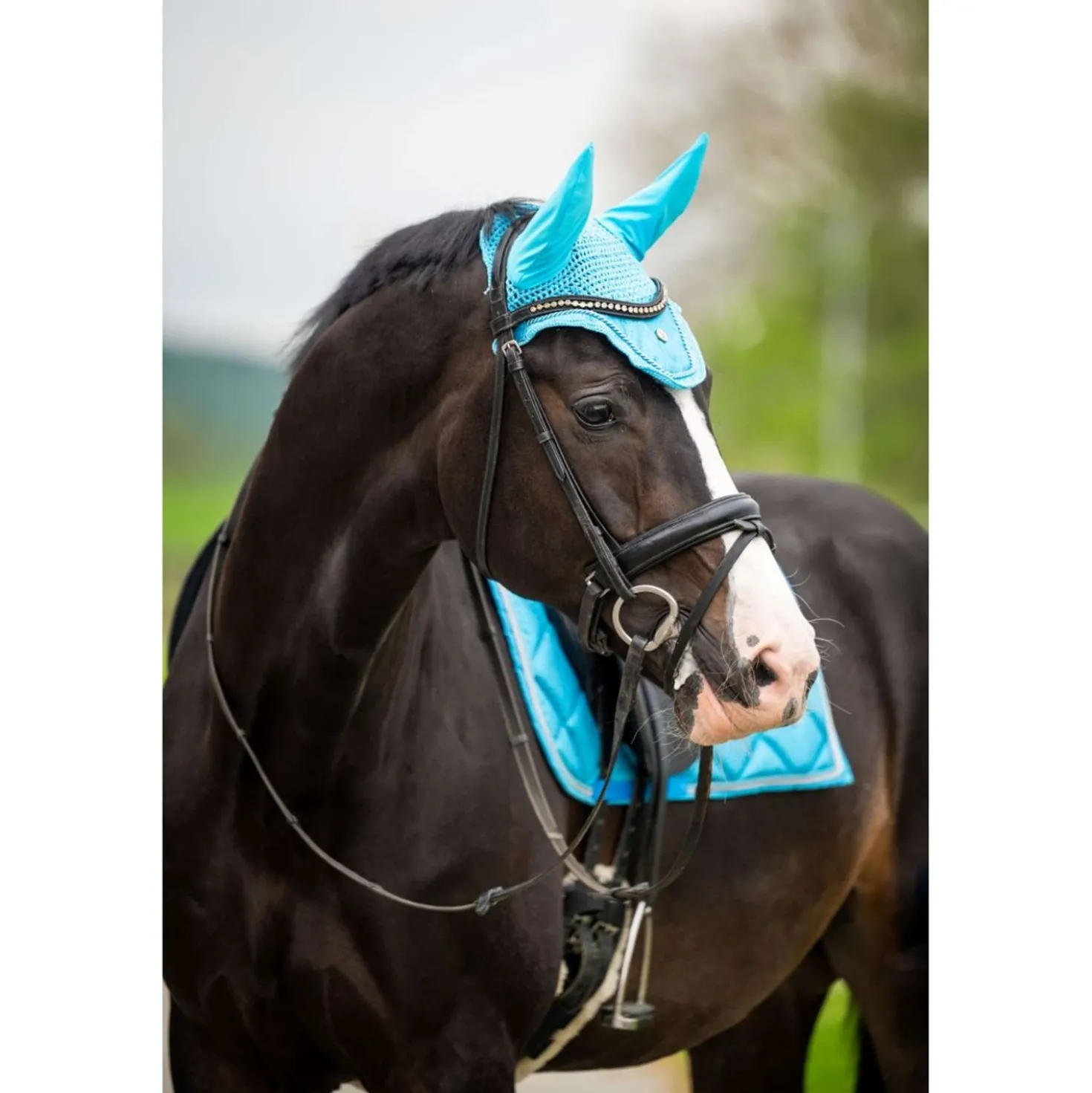 HB Oornetje Showtime Glitter Turquoise