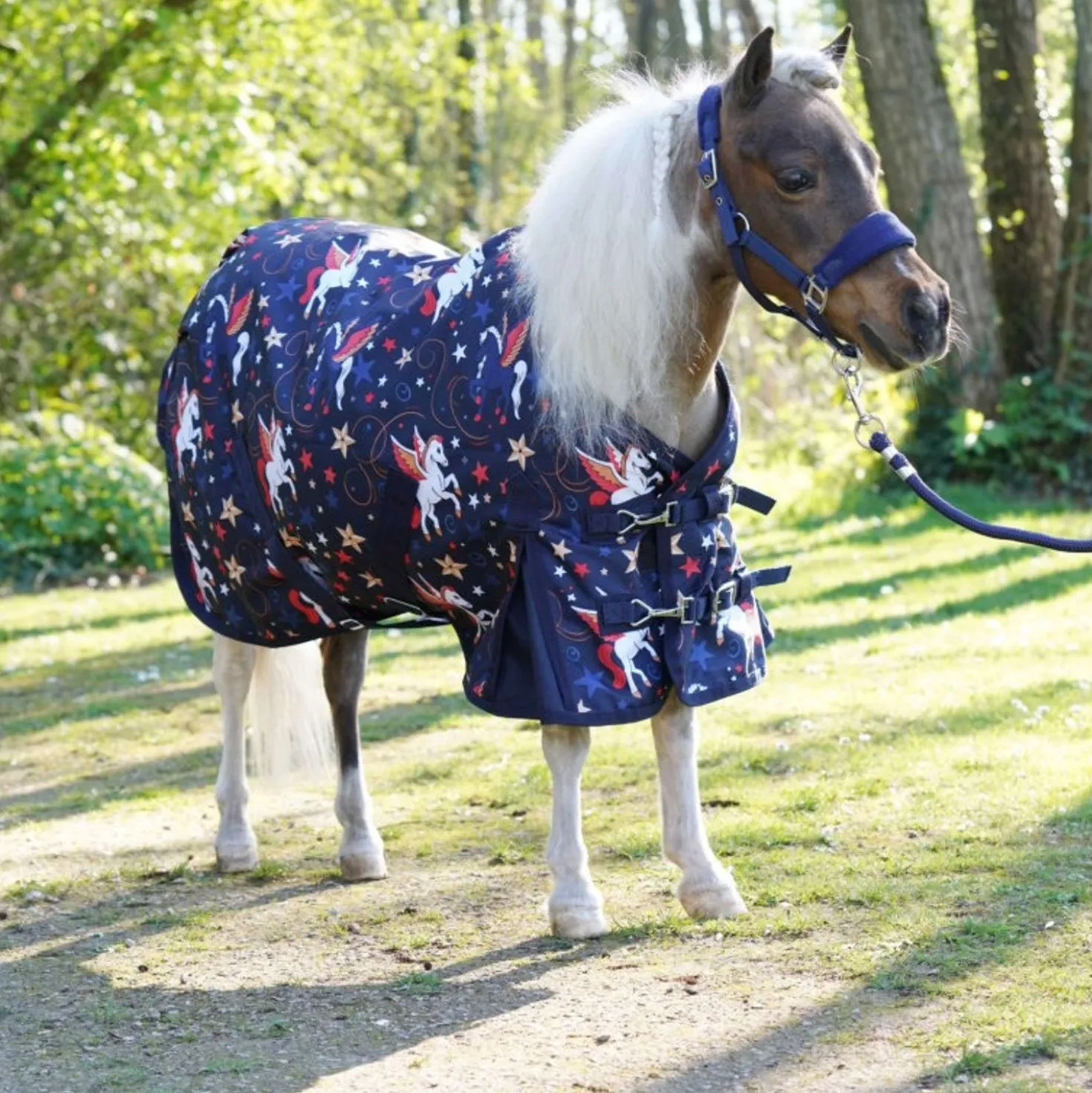 HB Outdoordeken Little Sizes Navy Flying Horse