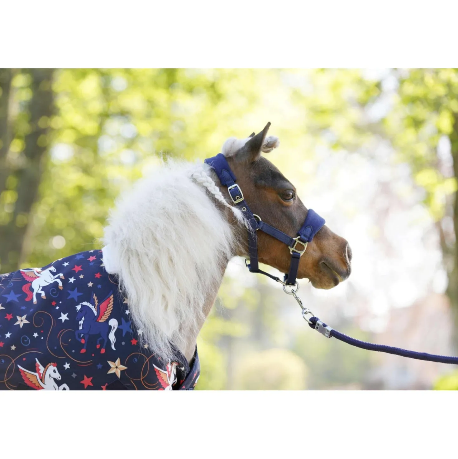 HB Outdoordeken Little Sizes Navy Flying Horse