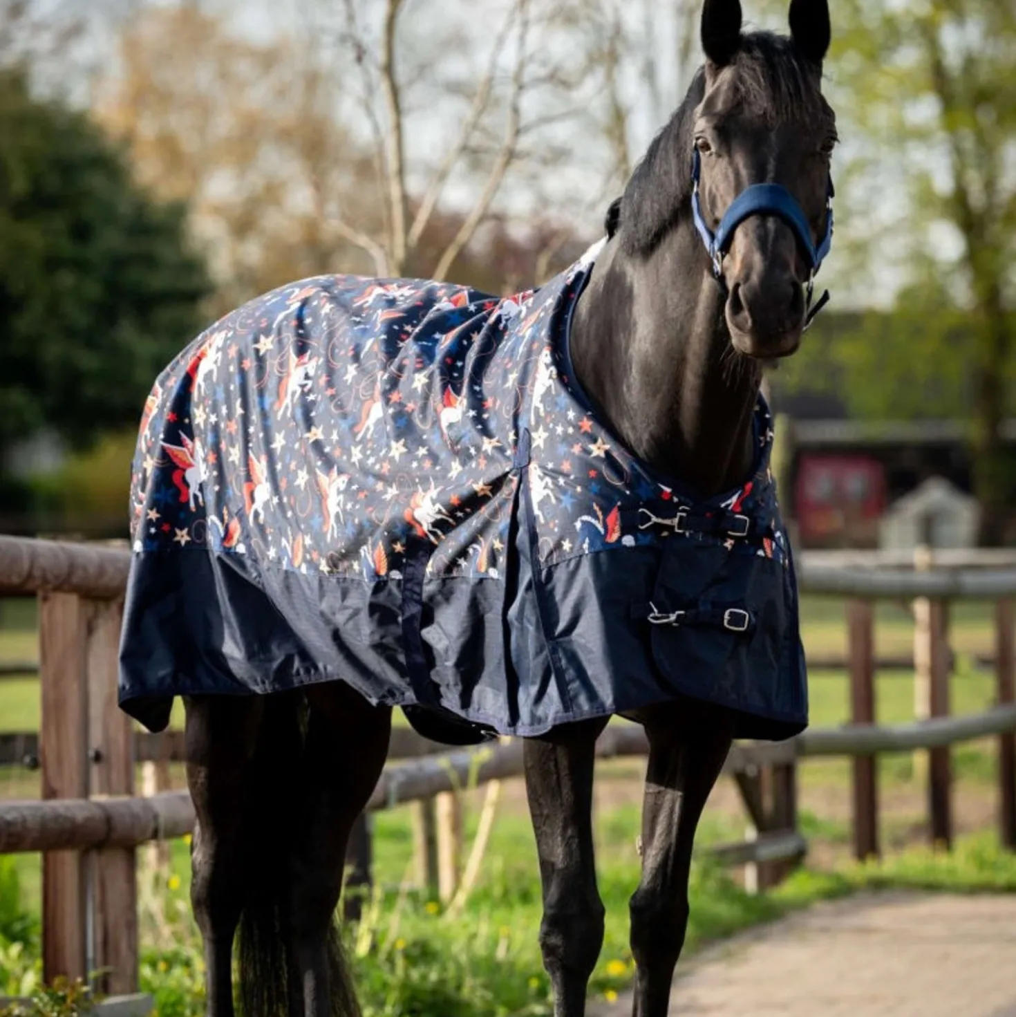 HB Outdoordeken Navy Flying Horse