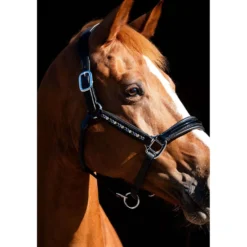 HB Showtime Halster Rivet Swarovski Leer Zwart/Navy