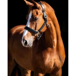 HB Showtime Halster Rivet Swarovski Leer Zwart/Navy
