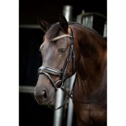 HB Showtime Hoofdstel Golden Dreams Zwart/Goud Glitter