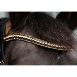HB Showtime Hoofdstel Golden Dreams Zwart/Goud Glitter