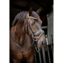 HB Showtime Hoofdstel Golden Dreams Zwart/Goud Glitter