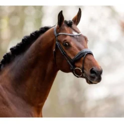 HB Showtime Hoofdstel Great Love Zwart