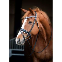 HB Showtime Hoofdstel Snowflake Zwart/Wit