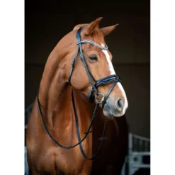 HB Showtime Hoofdstel Snowflake Zwart