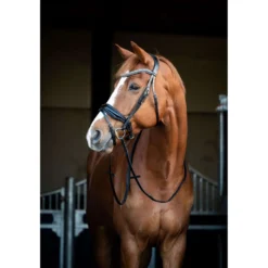 HB Showtime Hoofdstel Snowflake Zwart